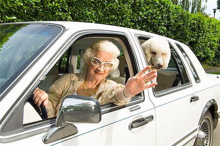 Senior woman and dog in car Stock Photo - Premium Royalty-Free, Code: 673-02143206