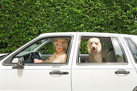 Senior woman and dog in car Stock Photo - Premium Royalty-Free, Code: 673-02143200