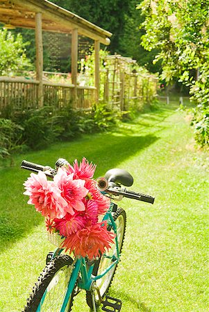 Bicycle with flowers in basket Stock Photo - Premium Royalty-Free, Code: 673-02143470