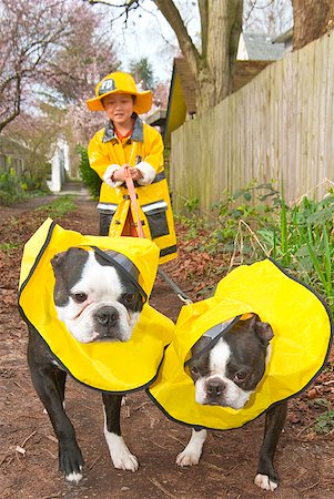 Asian boy walking dogs in raincoats Stock Photo - Premium Royalty-Free, Code: 673-02143880
