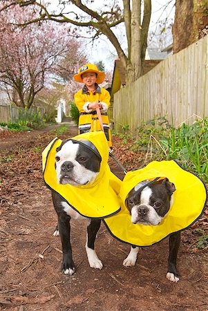 Asian boy walking dogs in raincoats Stock Photo - Premium Royalty-Free, Code: 673-02143881