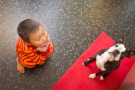 floor covering - Asian boy looking at dog Stock Photo - Premium Royalty-Free, Code: 673-02143928