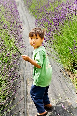 Asian boy walking through flowers Stock Photo - Premium Royalty-Free, Code: 673-02143935