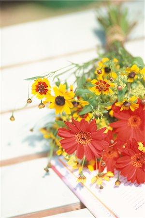 Flower bouquet Stock Photo - Premium Royalty-Free, Code: 685-02956469