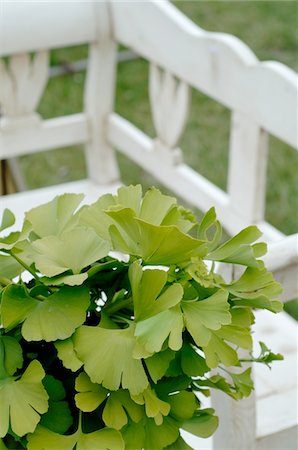 simsearch:689-05610878,k - Ginkgo leaves and bench in garden Stock Photo - Premium Royalty-Free, Code: 689-05610152