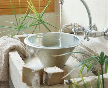 plant (botanical) - Water flowing into washbasin Stock Photo - Premium Royalty-Free, Code: 689-05610376
