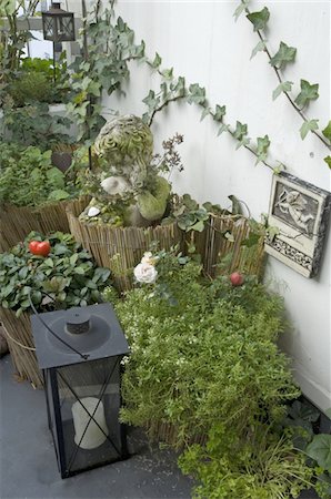 facade - Plants and storm lantern Stock Photo - Premium Royalty-Free, Code: 689-05611077