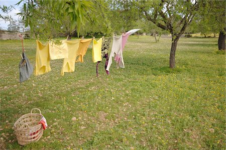 simsearch:700-00270300,k - Clothes hanging on clothesline in garden Foto de stock - Sin royalties Premium, Código: 689-05611201