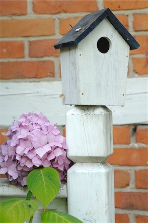 Birdhouse and Hydrangea Stock Photo - Premium Royalty-Free, Code: 689-05611399