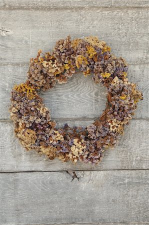 Dried flower wreath Stock Photo - Premium Royalty-Free, Code: 689-05611748