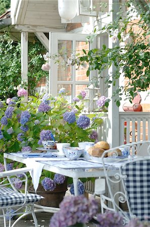 flowers on a table - Jeté de table du petit déjeuner sur la terrasse Photographie de stock - Premium Libres de Droits, Code: 689-05611880