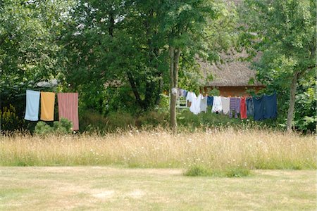 simsearch:700-00270300,k - Clothes hanging on clothesline in garden Foto de stock - Sin royalties Premium, Código: 689-05611898