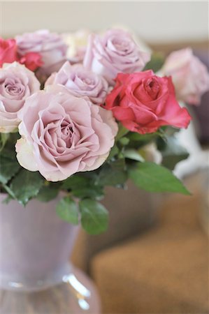 roses in vase - Bunch of roses Stock Photo - Premium Royalty-Free, Code: 689-05612406