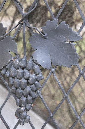 Gray iron leaf and grapes at fence Stock Photo - Premium Royalty-Free, Code: 689-05612456