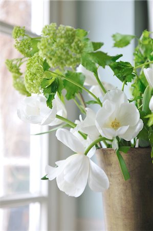 still life white - Bunch of flowers at the window Stock Photo - Premium Royalty-Free, Code: 689-05612452