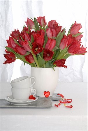 red tulip bouquet Stock Photo - Premium Royalty-Free, Code: 689-03130089