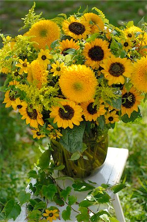 Bunch of sunflowers Stock Photo - Premium Royalty-Free, Code: 689-03131119