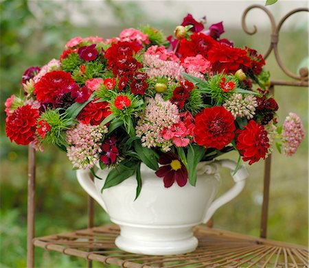 sedum - Summer bouquet in a white vase Stock Photo - Premium Royalty-Free, Code: 689-03131125