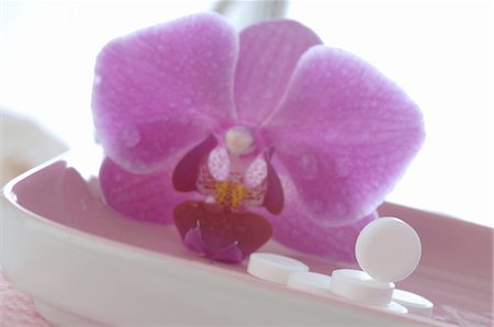 simsearch:689-03733503,k - Tissue salts and orchid blossom Stock Photo - Premium Royalty-Free, Code: 689-03733044