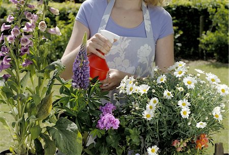 simsearch:689-05610878,k - Woman in garden watering plants Stock Photo - Premium Royalty-Free, Code: 689-03733221