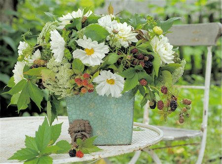 Bunch of flowers with allium, blackberries and garden cosmos on garden table Stock Photo - Premium Royalty-Free, Code: 689-03733238