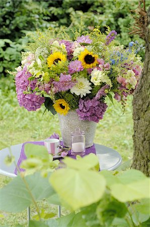 Bouquet coloré de fleurs sur la table de jardin Photographie de stock - Premium Libres de Droits, Code: 689-03733242