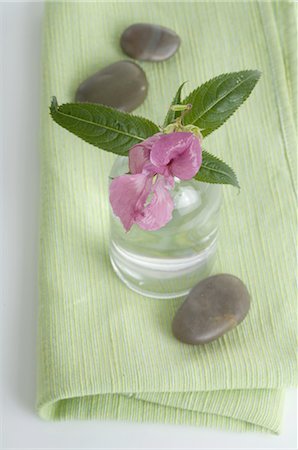 simsearch:689-03733503,k - Himalayan Balsam (Impatiens glandulifera) Stock Photo - Premium Royalty-Free, Code: 689-03733285