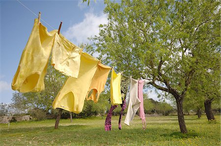 simsearch:700-00270300,k - Clothes hanging on clothesline in garden Foto de stock - Sin royalties Premium, Código: 689-03733341