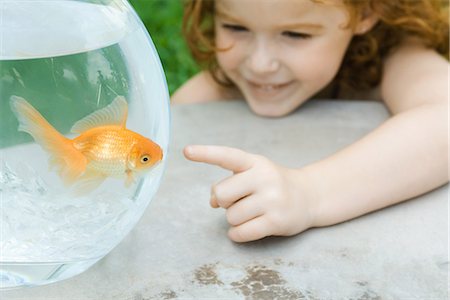 Girl pointing to fish in goldfish bowl Stock Photo - Premium Royalty-Free, Code: 695-05767189