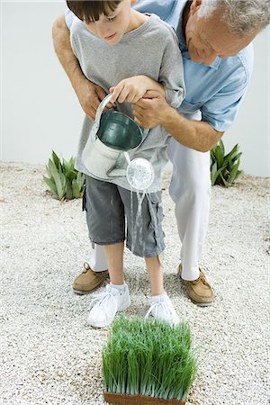 Grandfather and grandson watering wheat grass together Stock Photo - Premium Royalty-Free, Code: 695-05767553