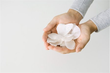 simsearch:400-07899875,k - Cupped hands holding flower petals, cropped view Stock Photo - Premium Royalty-Free, Code: 695-05768471