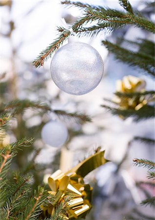 simsearch:632-06118429,k - Christmas decoration on tree, close-up Stock Photo - Premium Royalty-Free, Code: 695-05763090