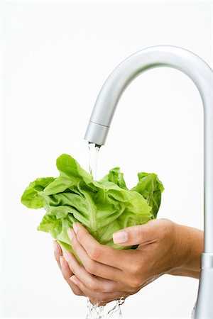 simsearch:632-05816631,k - Woman rinsing lettuce under faucet, cropped view of hands Stock Photo - Premium Royalty-Free, Code: 695-05779263