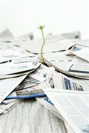 Plant growing out of pile of newspapers Stock Photo - Premium Royalty-Free, Code: 695-05779395