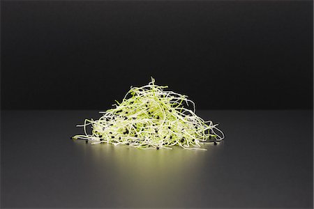 sprout - Alfalfa sprouts Stock Photo - Premium Royalty-Free, Code: 695-05779955