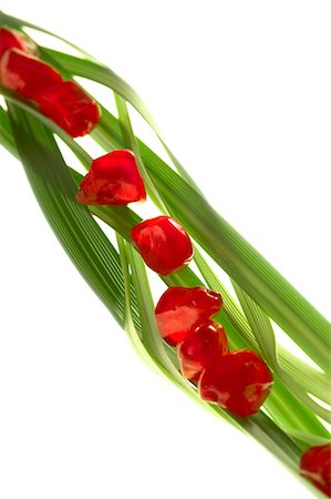 pomegranate - Pomegranate seeds arranged on blades of wheatgrass Stock Photo - Premium Royalty-Free, Code: 695-05771726