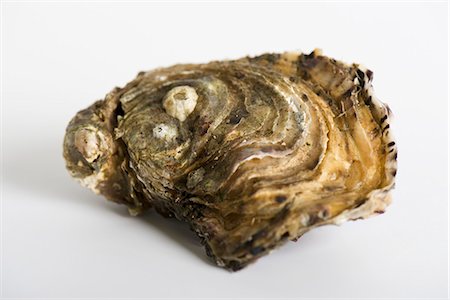 simsearch:400-07899875,k - Fresh raw oyster Stock Photo - Premium Royalty-Free, Code: 695-05780203