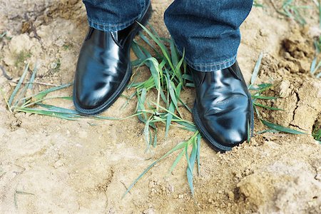 simsearch:695-03378125,k - Person wearing black dress shoes standing on top of grass, cropped view Stock Photo - Premium Royalty-Free, Code: 695-03378372