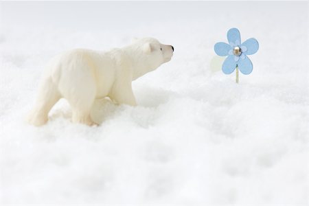 Toy polar bear in snow, looking at artificial flower Stock Photo - Premium Royalty-Free, Code: 695-03379483