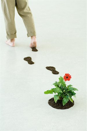 simsearch:695-03386286,k - Man leaving footprints of soil as he walks by flower, cropped view Stock Photo - Premium Royalty-Free, Code: 695-03389733