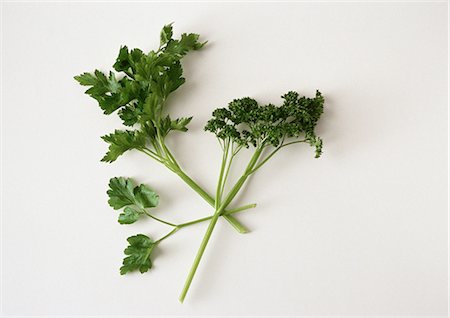 simsearch:628-02228100,k - Parsley, close-up, white background Stock Photo - Premium Royalty-Free, Code: 695-03381273