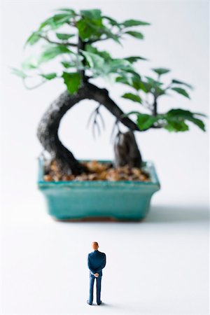 Miniature man looking at potted bonsai tree, rear view Stock Photo - Premium Royalty-Free, Code: 695-03390420