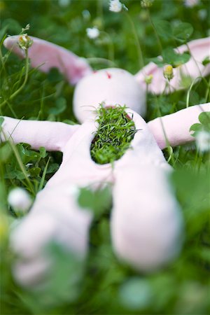 decomposed - Stuffed rabbit lying on the ground with grass growing out of its chest Stock Photo - Premium Royalty-Free, Code: 695-03390458