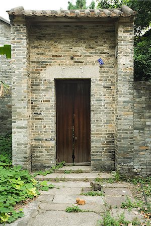 Kittens in abandoned entranceway Stock Photo - Premium Royalty-Free, Code: 696-03394511