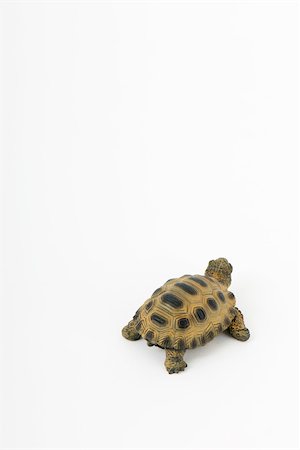 slow - Toy turtle, close-up Stock Photo - Premium Royalty-Free, Code: 696-03395939