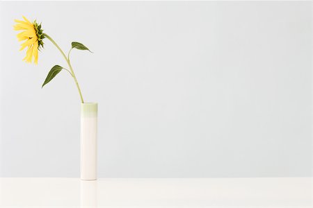 Sunflower in vase, facing away Stock Photo - Premium Royalty-Free, Code: 696-03395968