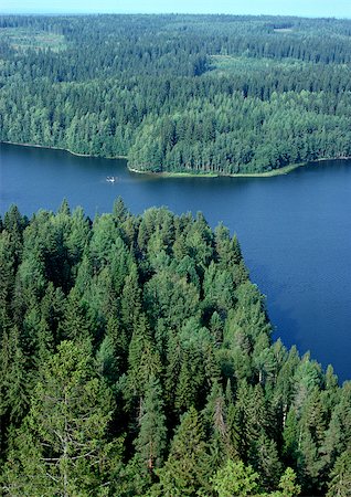 simsearch:6102-06026084,k - Evergreen forest and body of water, aerial view Stock Photo - Premium Royalty-Free, Code: 696-03397131