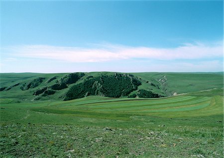 steppe - Mongolia, grassy plain with grass covered cliff Stock Photo - Premium Royalty-Free, Code: 696-03397994