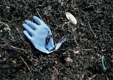 dirty environment - Blue rubber glove and seaweed washed up on beach Stock Photo - Premium Royalty-Free, Code: 696-03398498