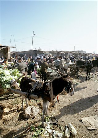 China, Xinjiang, Turpan, open air bazaar, donkey harnessed to cart Stock Photo - Premium Royalty-Free, Code: 696-03399289